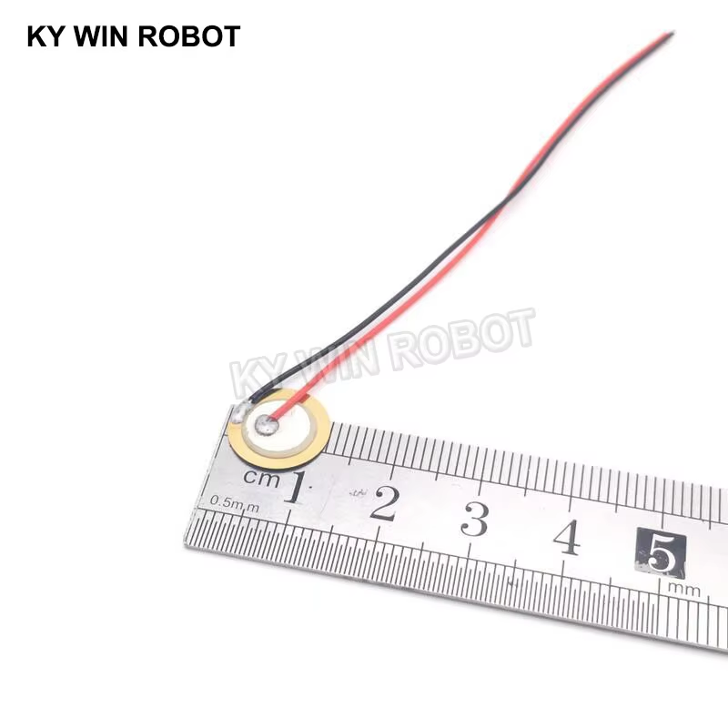 10 قطع من الرقائق السيراميكية  - مراجعة Diy With Electronics وسعره